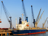 NGT slaps Rs 25 crore fine on Adani-Hazira Port, cancels environment clearance