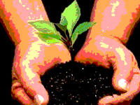 With eye on record, UP aims to plant 5 cr saplings in a day