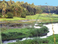 No sanction given for Aranmula airport project