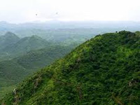 25,000 native plants to boost Aravali green cover & wildlife