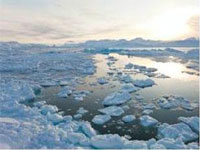 Networks of lakes, streams found on Antarctica's surface: Study