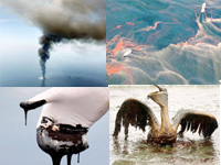5 iconic photos of BP oil spill