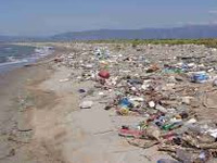 Pernem beaches strewn with glass, plastic bags