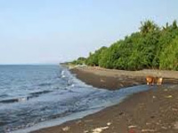 Relax CRZ Norms for Beach Tourism, Karnataka Urges Centre