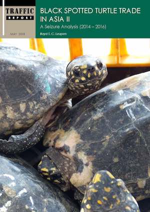 Black spotted turtle trade in Asia II: a seizure analysis