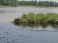 Government to adopt zero tolerance on water pollution