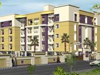 Move NGT on Builder's Green Norm Violations'