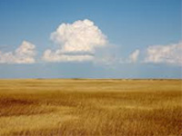 Eye on agriculture productivity in face of climate change