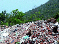 Debris piles up at reserve forest