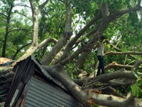 Over 100 killed in dust storm in U.P., Rajasthan