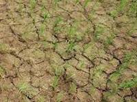 Experts: Tech to predict drought