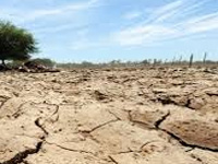 El Nino leaves North MP, Bundelkhand dry