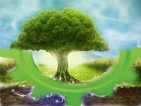 Centre mulls relaxing green norms