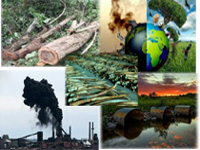 8% drop in environmental crimes