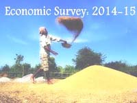 India in ‘sweet spot’: Economic Survey