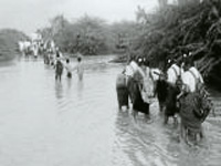 Flood of woes in N K'taka dists
