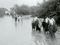 Met dept predicts Heavy rain in next 24 hours: Thee more deaths in two districts in West Bengal