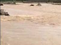 Lakhs of marooned people in dire need of food, water