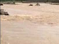 Assam flood situation worsens, 10 lakh people affected