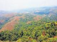 Telangana: Vikarabad forest under threat