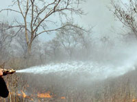 Wildfire in Banavara reserve forest