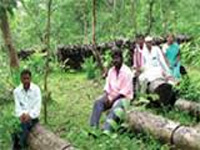 Forest rights must be settled in urban areas