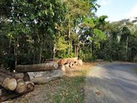 High Court pulls up wildlife activists for stalling development