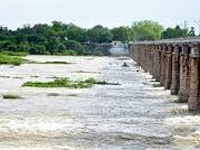 Desilt Srivaikundam Dam, But don't Touch Trees, Orders Green Tribunal