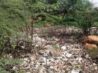 Bijnor forest dept issues notice to 18 civic bodies for dumping trash in jungles