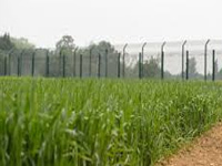 Supreme Court declines to stay Delhi HC order against Monsanto Technology