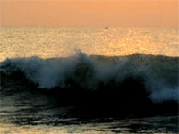 Gujarat getting warmer every year: Study