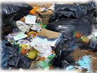 Biomedical waste dumping gets health dept in trouble
