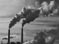 Curbing carbon emission won't hamper growth: Green activist