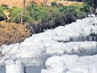 Bellandur Lake Froths up Yet Again