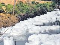 Experts seek checks on frothing of lakes in Hyderabad