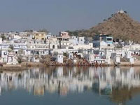 Shrinking Pushkar Lake water takes a toll on fishes