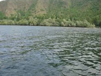 Telangana govt may relax city lake curbs