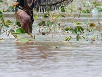 Varthur lake froths amid messy civil works, rain