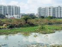 54 per cent of City lakes gobbled up, finds IISc study