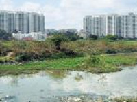 Surveyors confirm Bengaluru was once a 'City of Thousand Lakes'