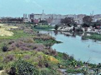 Wetlands on path to destruction