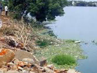 Saving Chennai's Putheri lake: Court asks municipality to act