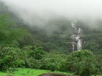 NGT restrains construction of resort at Lonavla