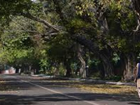 Centre gives green nod to rebuild MP flats in Lutyens zone