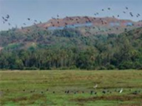 Request to MoEF to expedite process of granting of ECs