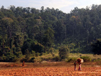 Govt likely to approve mining ordinance today