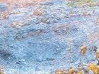 GSI to explore limestone deposits in Chhattisgarh