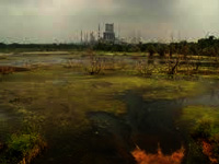 Marine disaster guaranteed if oil spills