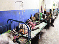Encephalitis claims 700 lives