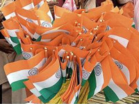 Regulate use of plastic flags, banners in polls: National Green Tribunal to MoEF